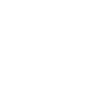 Mediaking